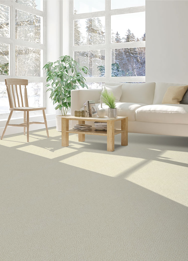 beige carpet in living room with dog sitting next to coffee table